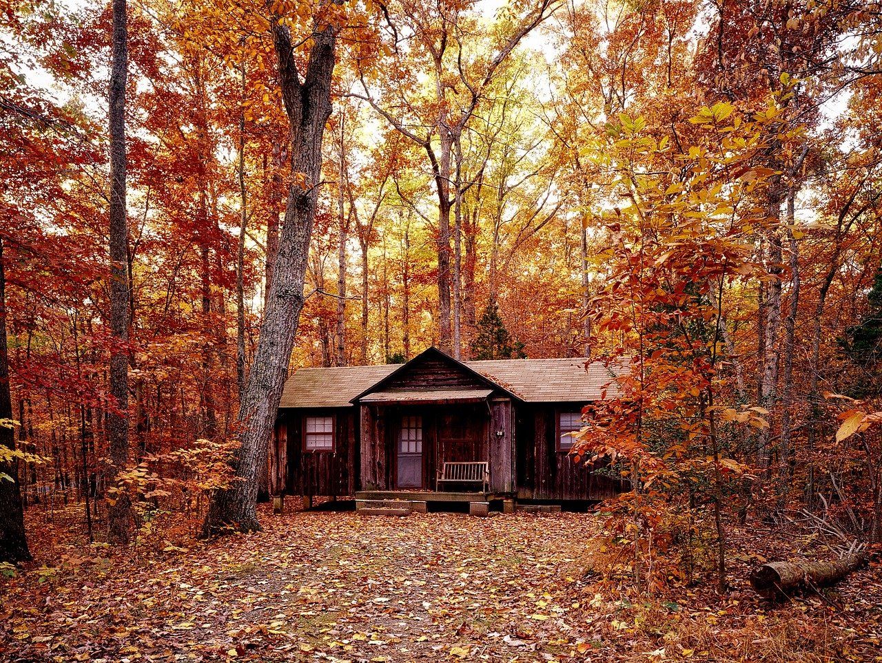 autumn, fall, foliage-1740686.jpg