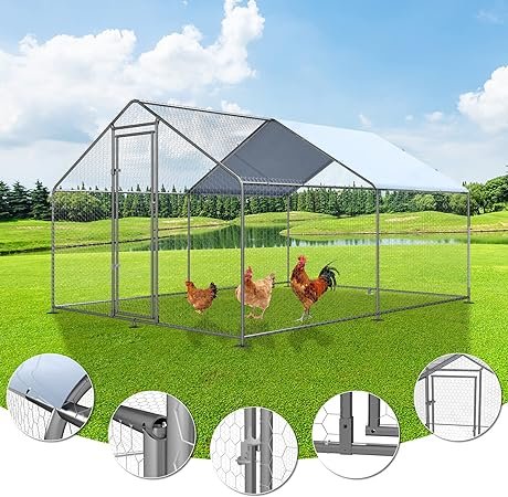 chicken coop, chicken, coop