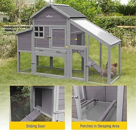 chicken coup, hen house, chicken
