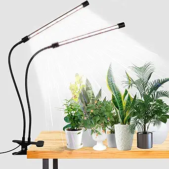 grow light, light