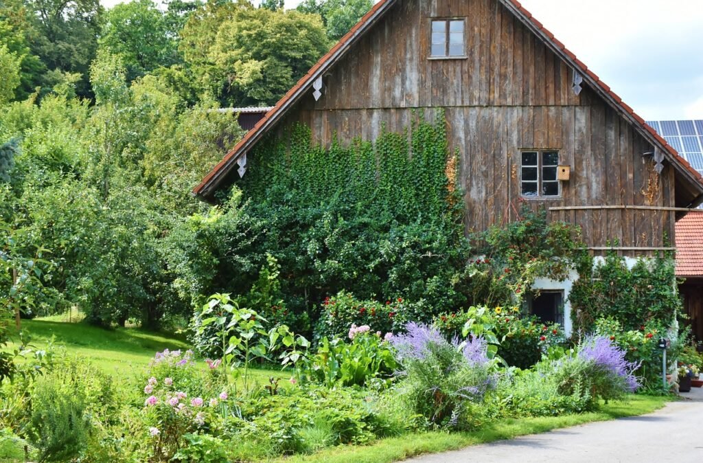 house, farmhouse, old house-1586435.jpg